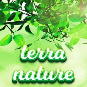 E-liquide Terra nature 50ml - Terravap - Tabac blond léger