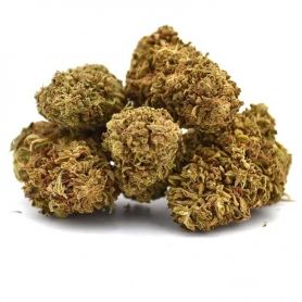 Fleur CBD Gelato Greenhouse Mama Kana Fleur CBD Gelato Greenhouse Mama Kana