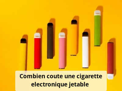 Combien coûte une cigarette electronique jetable ?