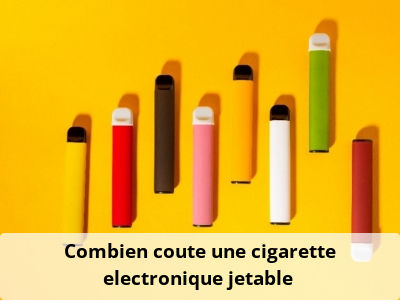 Combien coûte une cigarette electronique jetable ?