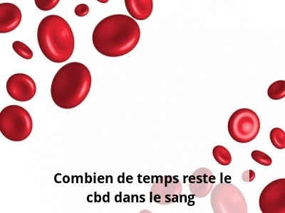 Combien de temps reste le cbd dans le sang ?