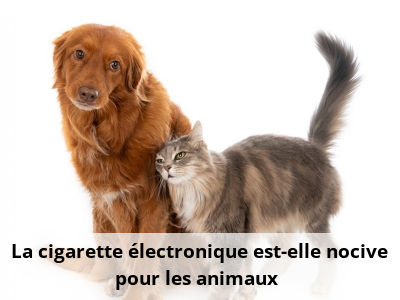 La cigarette électronique est-elle nocive pour les animaux ?