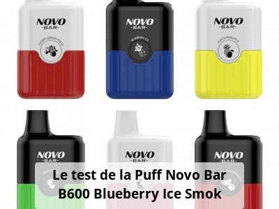 Le test de la Puff Novo Bar B600 Blueberry Ice Smok