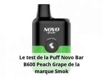 Le test de la Puff Novo Bar B600 Peach Grape de la marque Smok