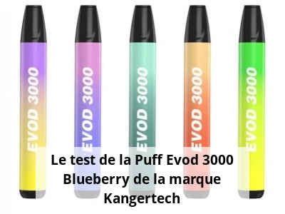 Le test de la Puff Evod 3000 Blueberry de la marque Kangertech
