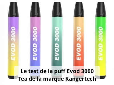 Le test de la puff Evod 3000 Tea de la marque Kangertech
