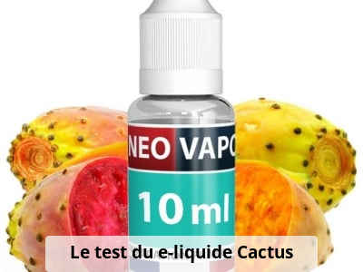 Le test du e-liquide Cactus