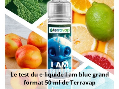 Le test du e-liquide I am blue grand format 50 ml de Terravap