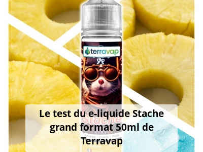 Le test du e-liquide Stache grand format 50ml de Terravap