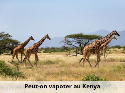 Peut-on vapoter au Kenya ?