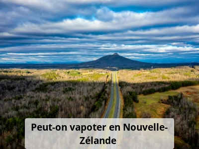 Peut-on vapoter en Nouvelle-Zélande ?