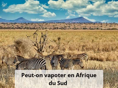 Peut-on vapoter en Afrique du Sud ?