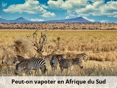 Peut-on vapoter en Afrique du Sud ?