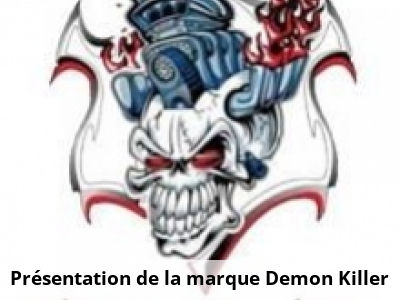 Présentation de la marque Demon Killer