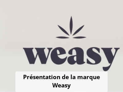 Présentation de la marque Weasy