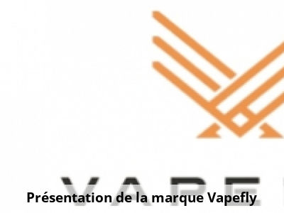 Présentation de la marque Vapefly