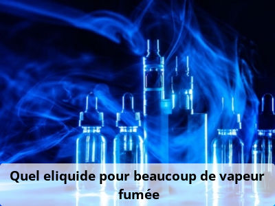 Quel eliquide pour beaucoup de vapeur / fumée