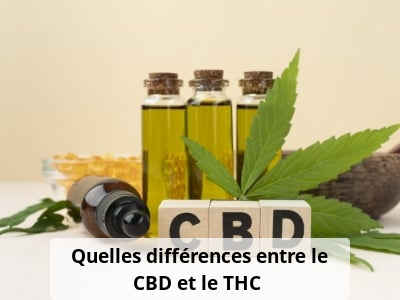 Quelles différences entre le CBD et le THC ?