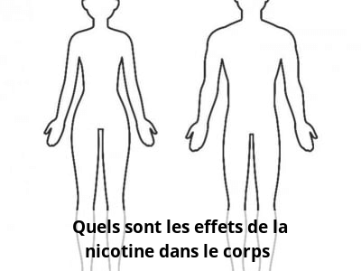 Quels sont les effets de la nicotine dans le corps ?