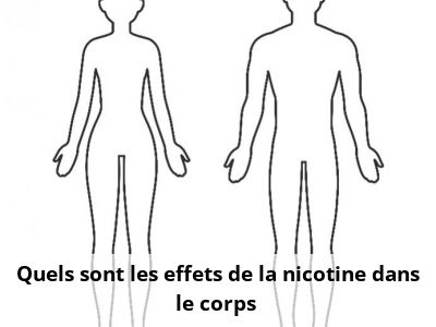 Quels sont les effets de la nicotine dans le corps ?