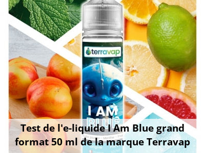 Test de l'e-liquide I Am Blue grand format 50 ml de la marque Terravap