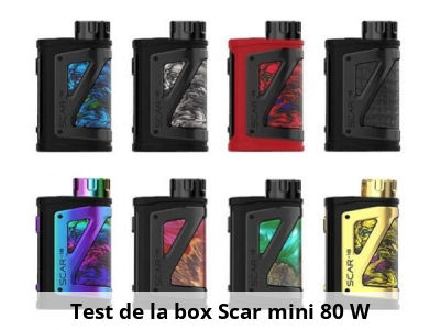 Test de la box Scar mini 80 W