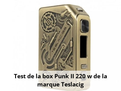 Test de la box Punk II 220 w de la marque Teslacig