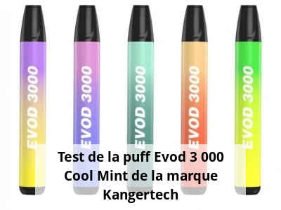 Test de la puff Evod 3 000 Cool Mint de la marque Kangertech