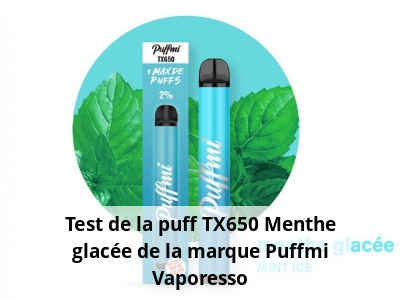 Test de la puff TX650 Menthe glacée de la marque Puffmi Vaporesso